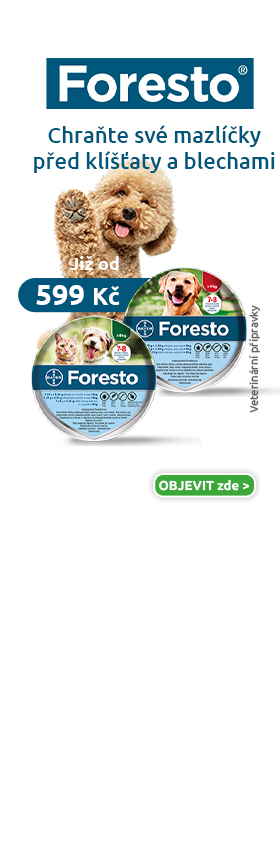 Foresto (partner HP)
