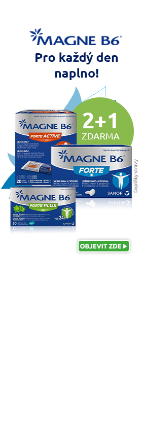 Magne (partner)