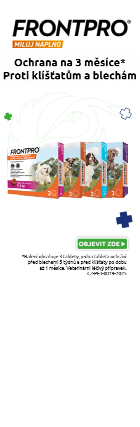 Frontpro (partner KT)
