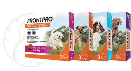 Milujte naplno s Frontpro®