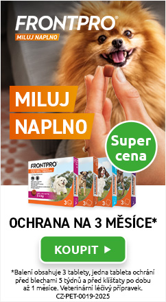Frontpro (vypis)