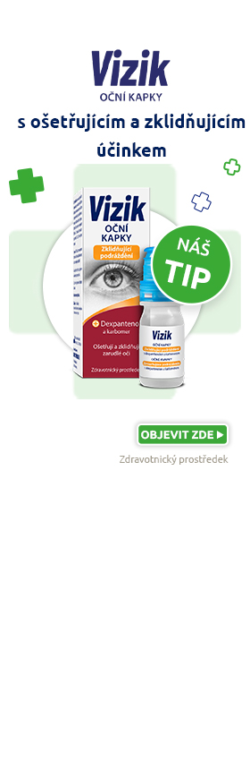 Vizik (partner)