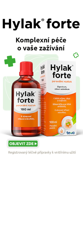 Hylak (partner)