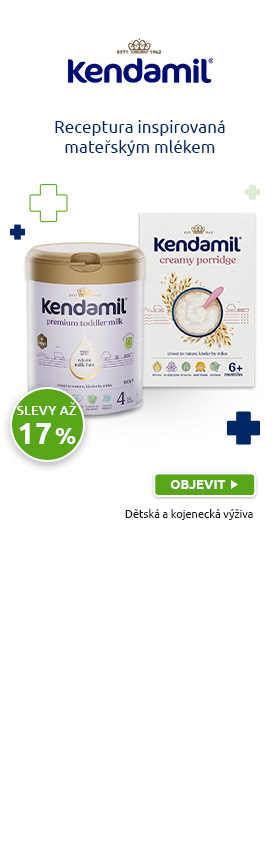 Kendamil (partner KT)