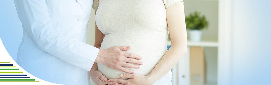 Průběh těhotenství týden po týdnu – 2. trimestr