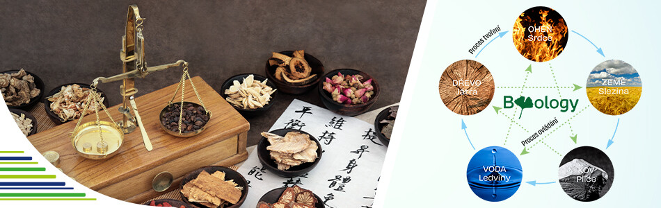 Tradiční čínská medicína s bylinami naší domoviny