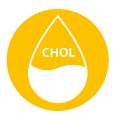 Vysoký cholesterol