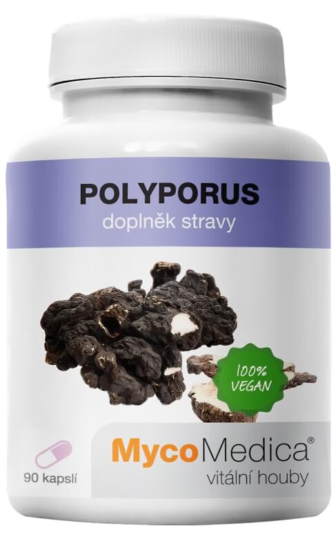 MycoMedica Polyporus cps.90