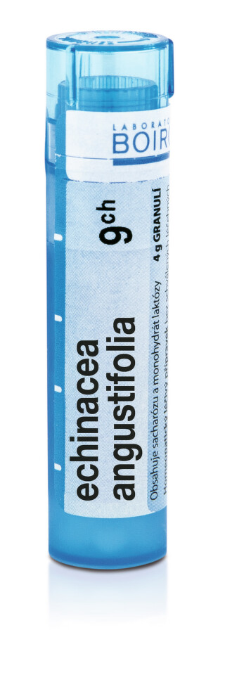ECHINACEA ANGUSTIFOLIA 9CH granule 1X4G