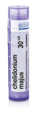 CHELIDONIUM MAJUS 30CH granule 1X4G