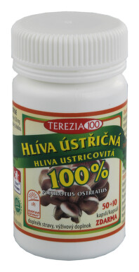 Hlíva ústřičná cps.50+10
