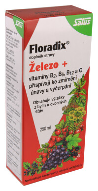 Salus Floradix 250ml