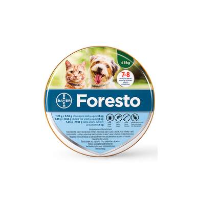 foresto_maly_obojek