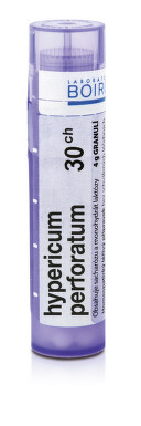 HYPERICUM PERFORATUM 30CH granule 1X4G