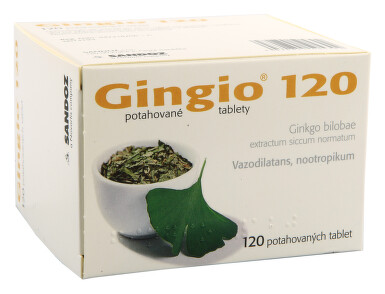 GINGIO 120 perorální potahované tablety 120X120MG
