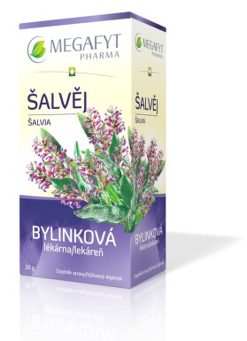 Megafyt Bylinková lékárna Šalvěj n.s.20x1.5g