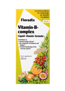 Salus Floradix Vitamin-B-komplex 250ml