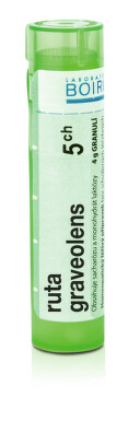 RUTA GRAVEOLENS 5CH granule 4G