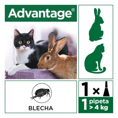 Advantage 40mg malé kočky+králíci spot-on 4x0.4ml