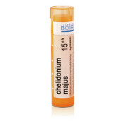 CHELIDONIUM MAJUS 15CH granule 1X4G
