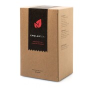 AROMATICA Bylinný čaj CholasTEA 20x2g