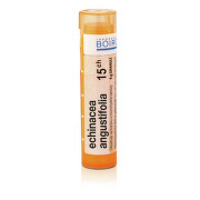 ECHINACEA ANGUSTIFOLIA 15CH granule 1X4G