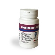 Lactobacillus acidophilus ND tob.60