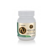Hericium extrakt cps.100 NUPREME