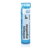 ECHINACEA ANGUSTIFOLIA 9CH granule 1X4G