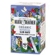 Čaj HH BIO Detoxikační Maté a Psyllium 20x2g