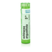 ECHINACEA ANGUSTIFOLIA 5CH granule 1X4G