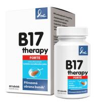 B17 therapy 500mg tob.60