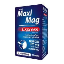 MaxiMag Express hořčík 375 mg+B6 direct 20 sáčků