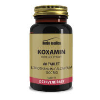 Koxamin 1000mg tbl.60