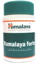 Himalaya Rumalaya Forte tbl.60