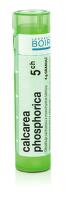 Calcarea Phosphorica 5CH gra.4g