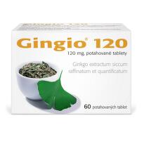 GINGIO 120MG potahované tablety 60