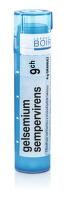 Gelsemium Sempervirens 9CH gra.4g