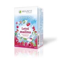 Megafyt Ledový čaj Letní malina 20x2g