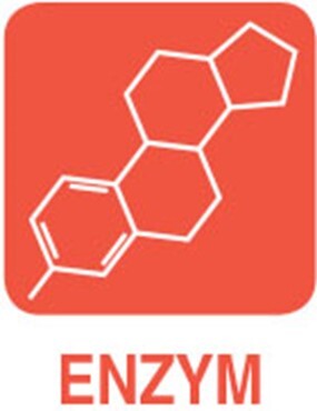 Enzymy v doplňku stravy PRAGOMED Profi Fyto+Enzym