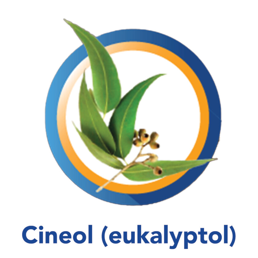 Muconasal Benu_Osvěžuje vůní máty a eukalyptu - Cineol