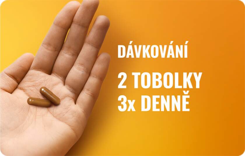 ESSENTIALE 300MG