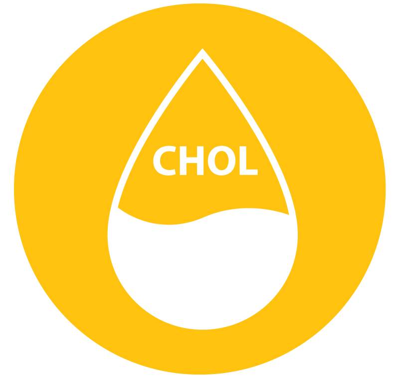 Měření cholesterolu ikona