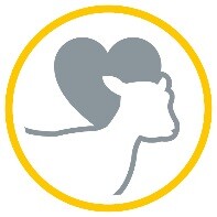 Medela 5