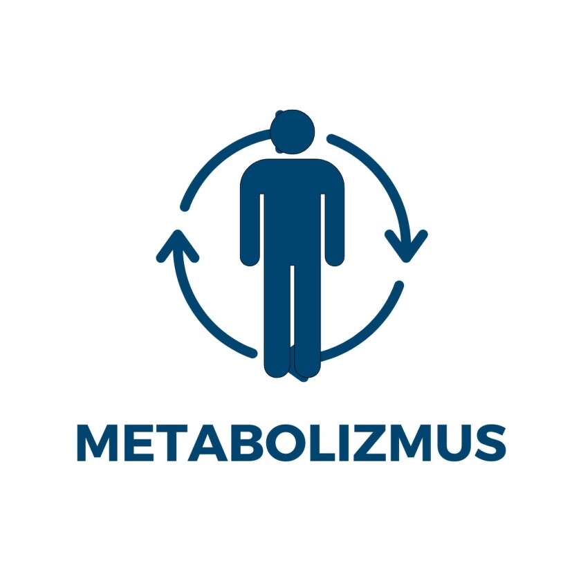 metabolizmus