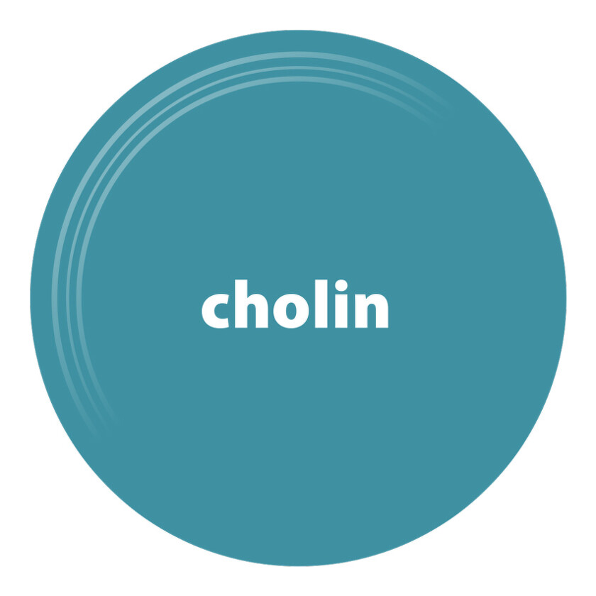 cholin