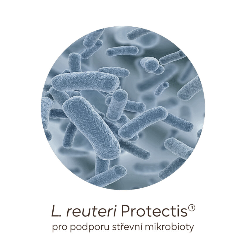 L- reuteri protectis