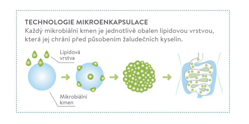 Osmobiotik mikroenkapsulace
