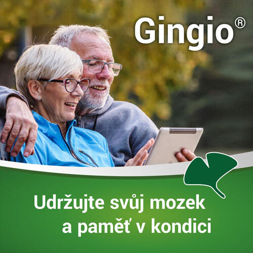 Gingio - Jak zlepšit paměť