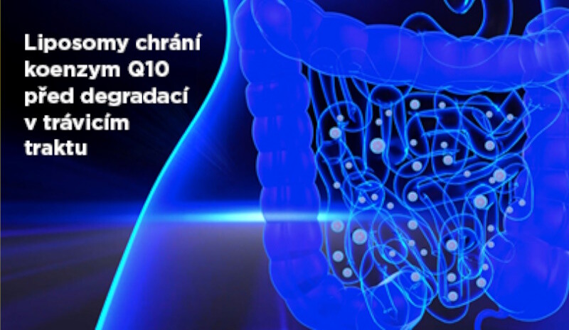 GS Koenzym Lipo Q10 Liposomy chrání koenzym Q10 před degradací v trávicím traktu